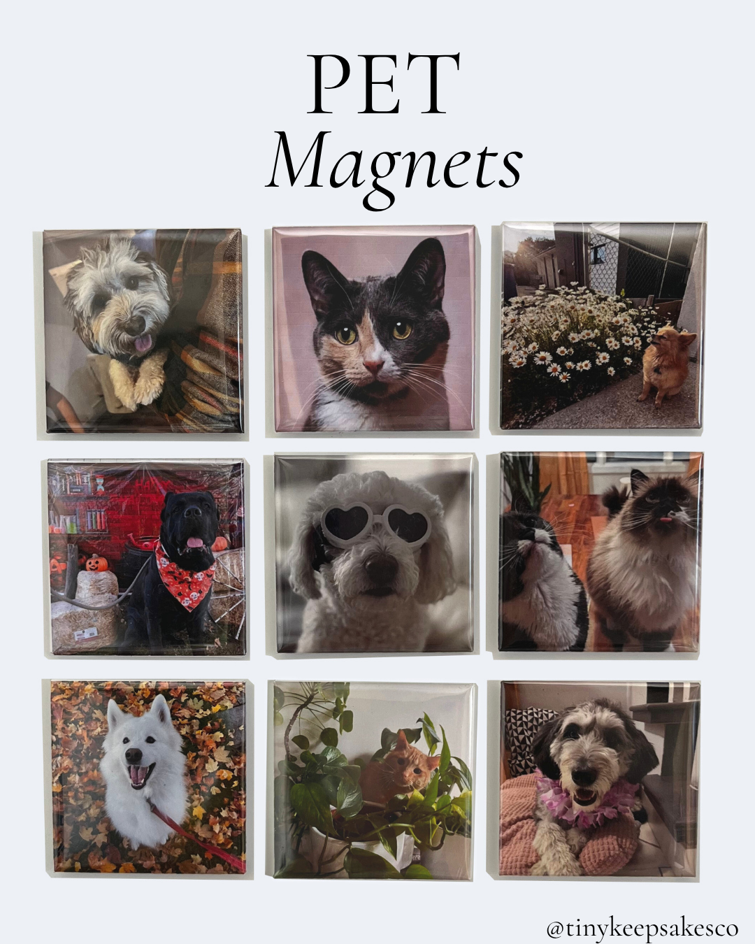 Custom Photo Magnet Sets